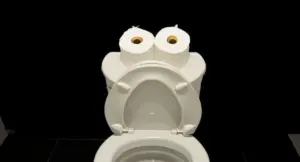Un WC con rotoli di carta igienica appoggiati sopra, che creano un'espressione divertente