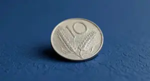Moneta italiana da 10 Lire con spiga su sfondo blu