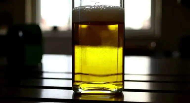 Bottiglia di olio d'oliva su un tavolo in una stanza illuminata dalla luce naturale